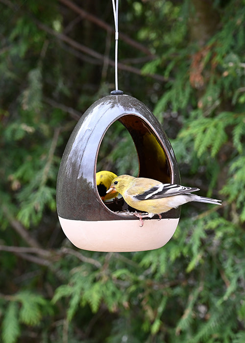 Verdant Pod Bird Feeder (11217)