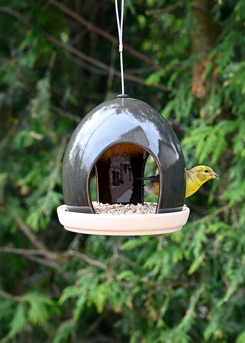 Verdant Dome Bird Feeder (11218)