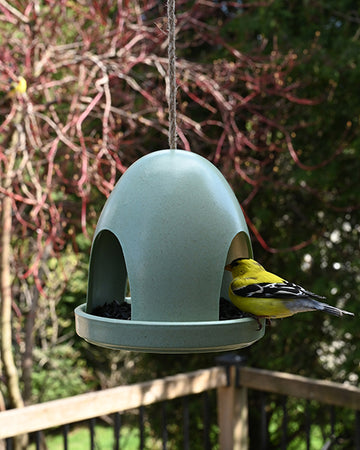 Eco Dome Bird Feeder - Green (11302)