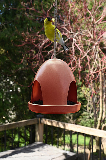 Eco Dome Bird Feeder - Terra (11303)