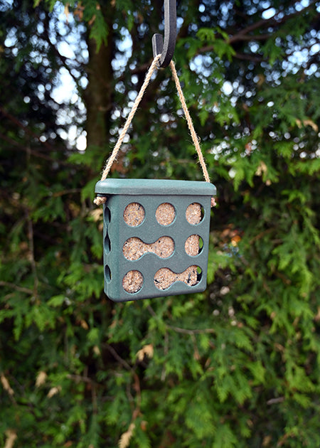 Eco Suet Cake Feeder - Forest (11306)