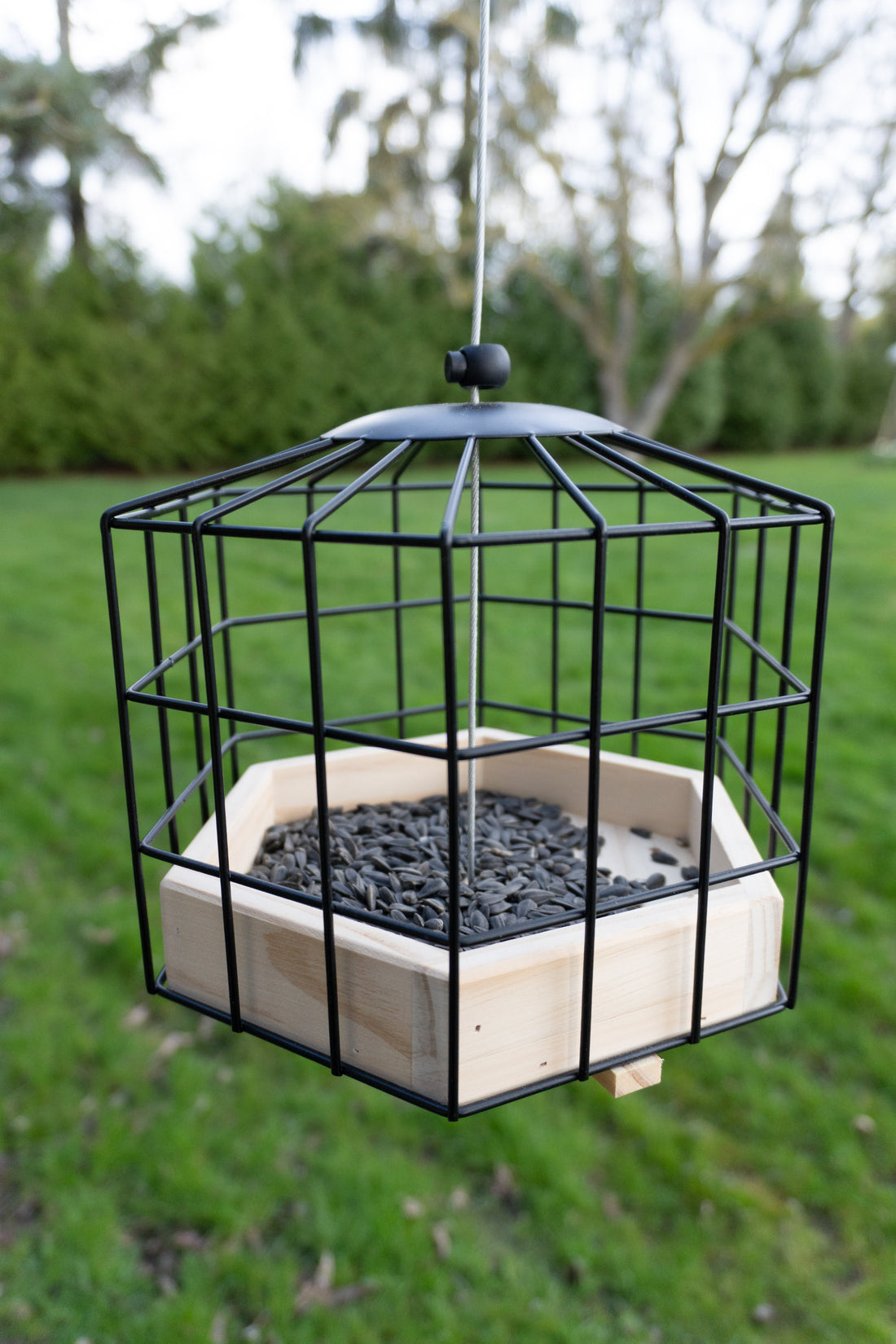 Squirrel Resistant Platform Feeder  (71017)