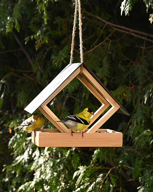 Bamboo Terrace Bird Feeder (71042)