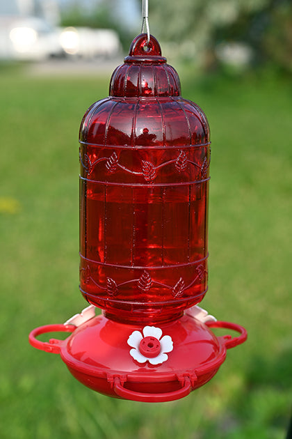 Red glass bottle. Red poly base. White flower feeding ports. Bottle is in the shape of a vintage bird cage.