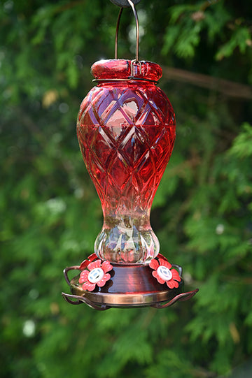 Red Jewel Glass Hummingbird Feeder (88150)