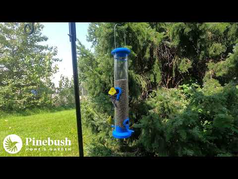 Mixed Seed Tube Feeder (10864)