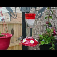 10 oz Glass Hummingbird Feeder (88163)