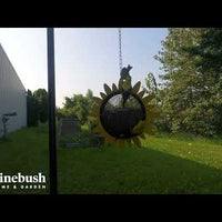 Shelled Sunflower Feeder (10360)