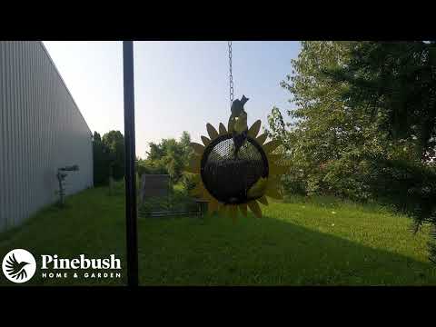 Shelled Sunflower Feeder (10360)