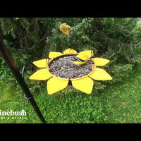 Sunflower Tray Feeder (10078)