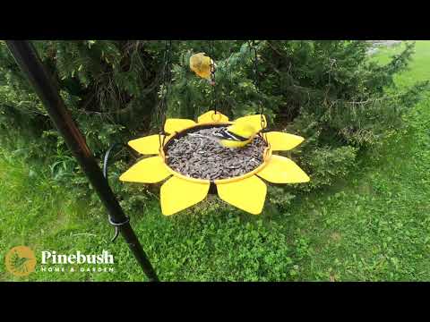 Sunflower Tray Feeder (10078)