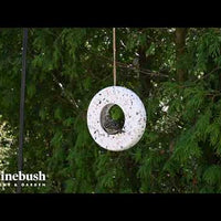 Avistry Ring Bird Feeder (11204)