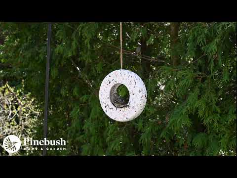 Avistry Ring Bird Feeder (11204)