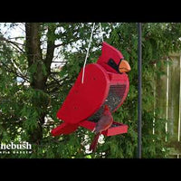 Cardinal Shape Feeder (78001)