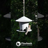 Eco "Forage" Bird Feeder (11301)