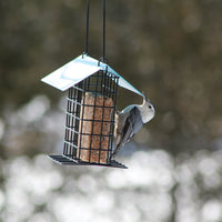 The feeder is hanging outdoors while a bird is holding onto the cage to eat the suet cake.