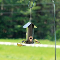 Feeder is hanging on a pole system outdoors while 3 gold finches are attached to the feeder and eat the seeds from it.