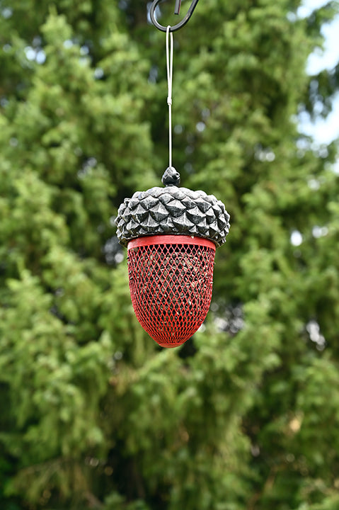 Red mesh bottom with a black lid, shaped like an acorn. Hanging outdoors.