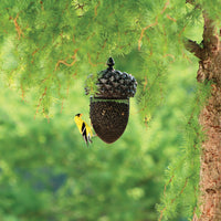 Feeder is hanging on a tree, filled with seed while a gold finch is hanging on to the mesh to eat.