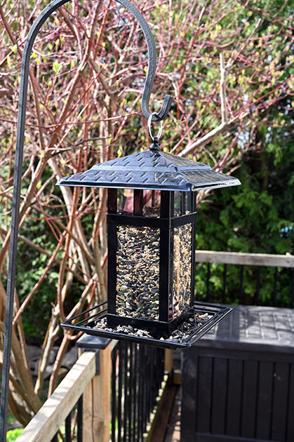 Lantern shaped feeder windows on each side. Filled with seeds. Hanging outdoors on a pole system.