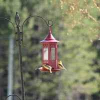 The feeder is hanging outdoors while 3 gold finches are enjoying its seeds.