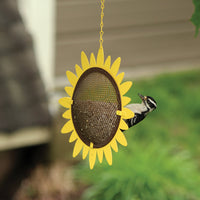 Sunflower feeder is hanging from a tree outdoors while a woodpecker is enjoying its seeds.