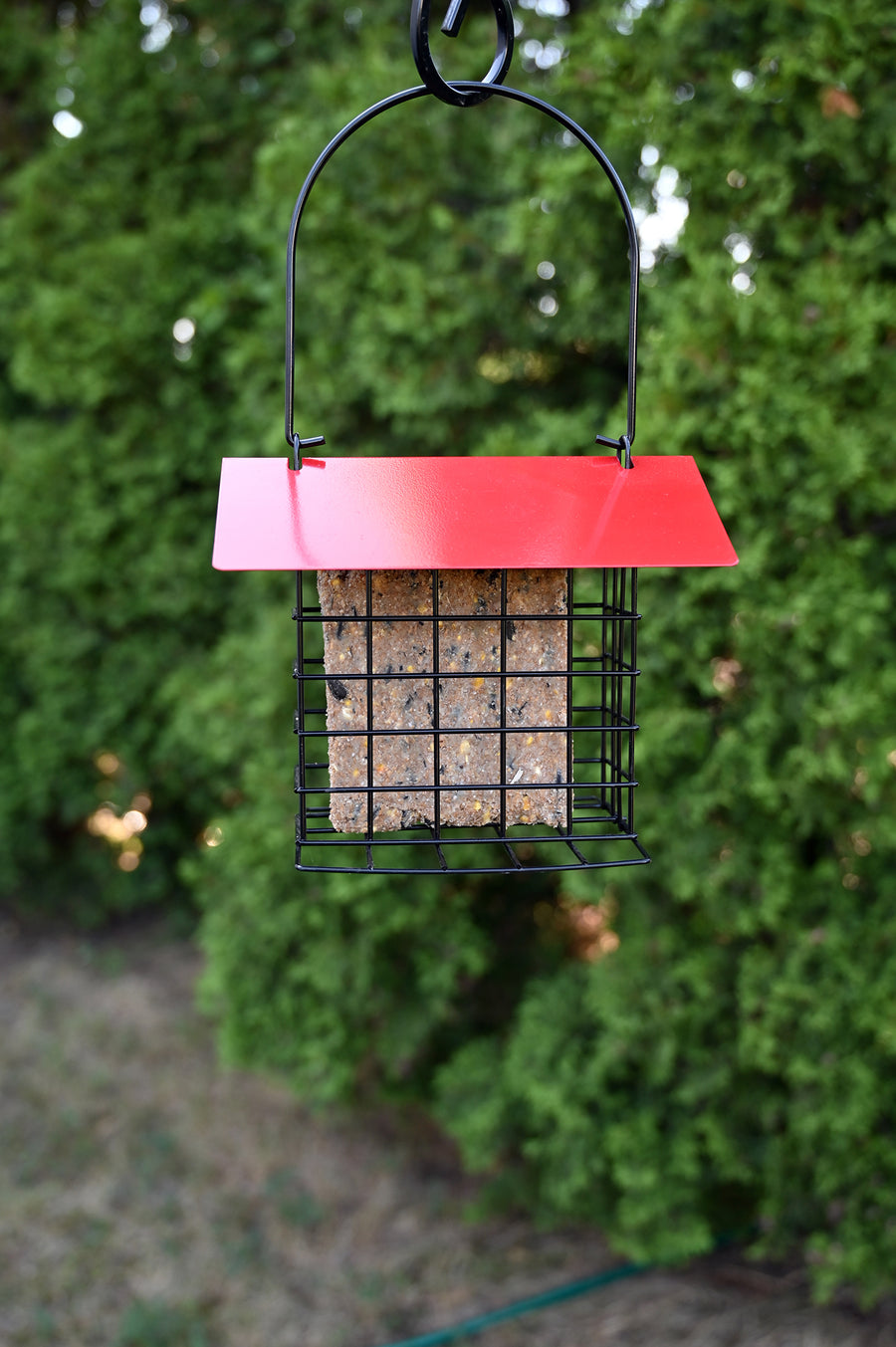 Black square cage with a suet cake inside, covered by a red roof.