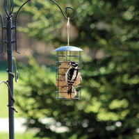 Feeder is hanging outdoors on a poll system. Multiple suet balls are inside the feeder while a woodpecker is eating from it.