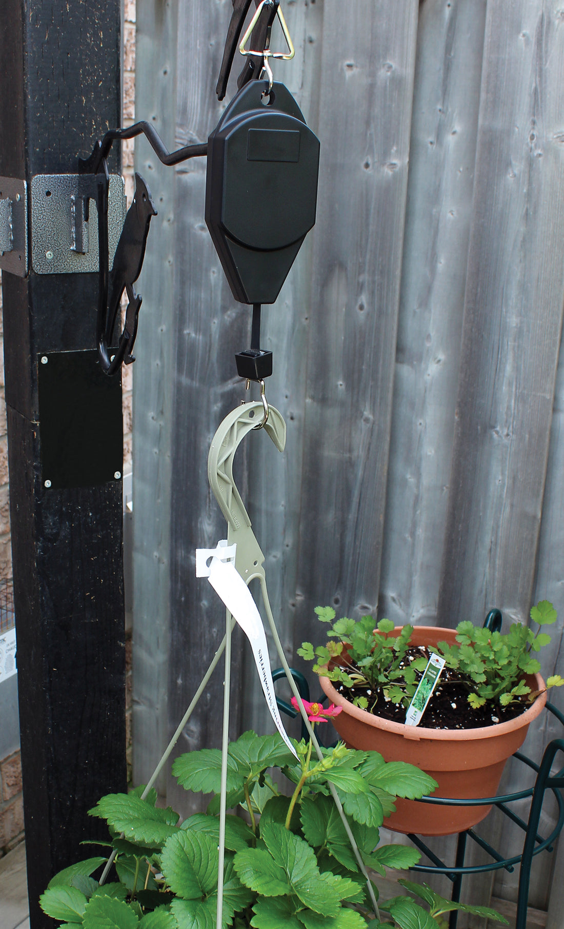 Hanging device is attached to a pole outdoors where it is holding up a plant that is hooked on the bottom ring.