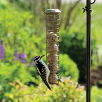 Feeder hanging outdoors on a pole, it is filled with 5 suet balls, a woodpecker is on the feeder while eating from the suet balls, there is another feeder next to this one hanging on the pole.