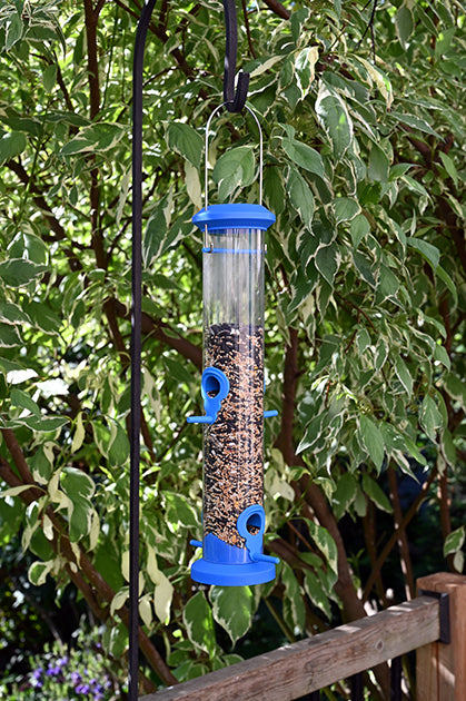 Hanging outdoors on a pole system. Clear tube with blue lid, perches, and base.