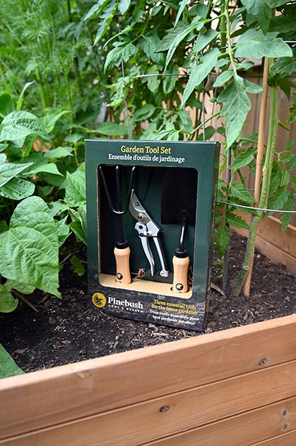 Cultivator on left, pruner in the middle trowel on the right. The package is sitting in a garden bed.