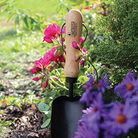 Trowel is in a garden that has pink and purple flowers.