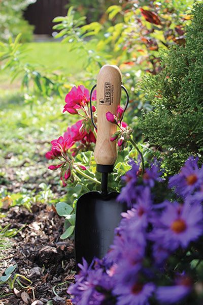 Trowel is in a garden that has pink and purple flowers.