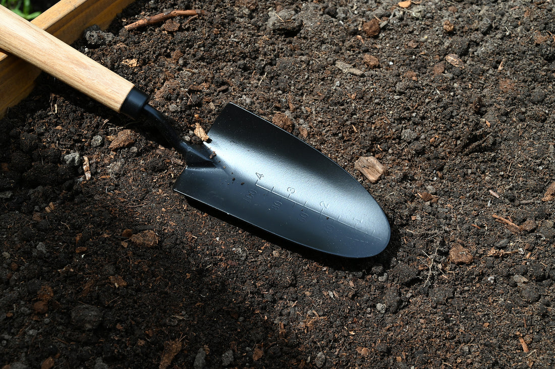 Trowel is laying in the soil.