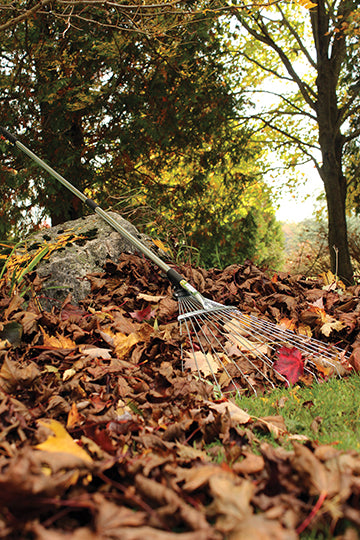 The rake is outdoors leaning against a rock while leaves surround it.