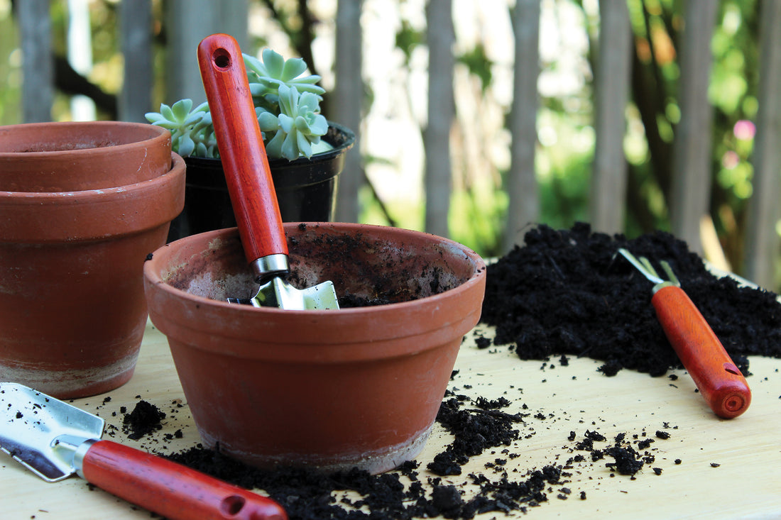 The tools are in soil outdoors. One is in a pot, and the others are on a table with soil on top of it.