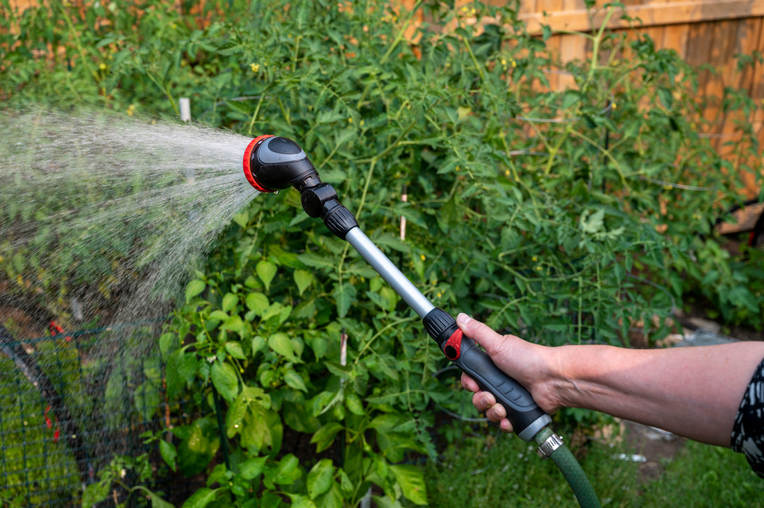 Watering wand is being used to water plants outdoors.