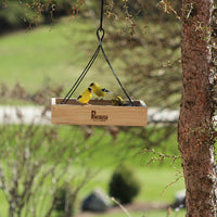Feeder is hanging outdoors while 4 gold finches are on and inside the tray enjoying the seeds.