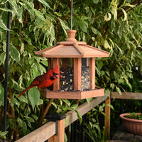 Feeder is hanging outdoors filled with seeds while a cardinal is enjoying the seeds.