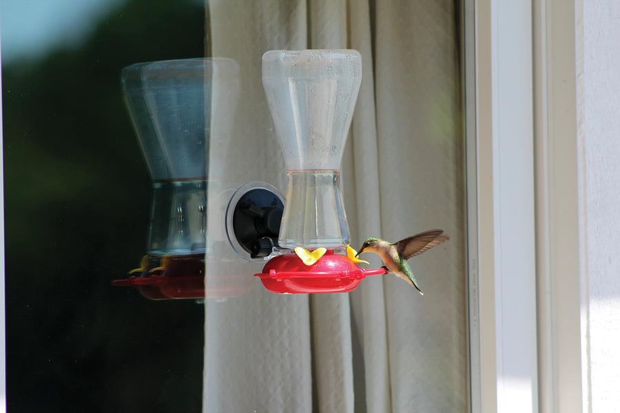 The hummingbird feeder is outside attached to a window while a hummingbird is enjoying the nectar.