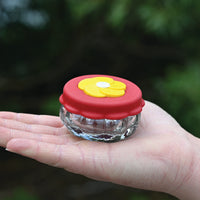 Hummingbird feeder is in the palm of a person's hand, and they are outdoors.