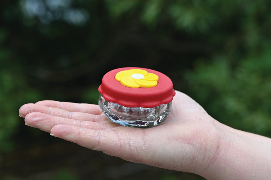 Hummingbird feeder is in the palm of a person's hand, and they are outdoors.