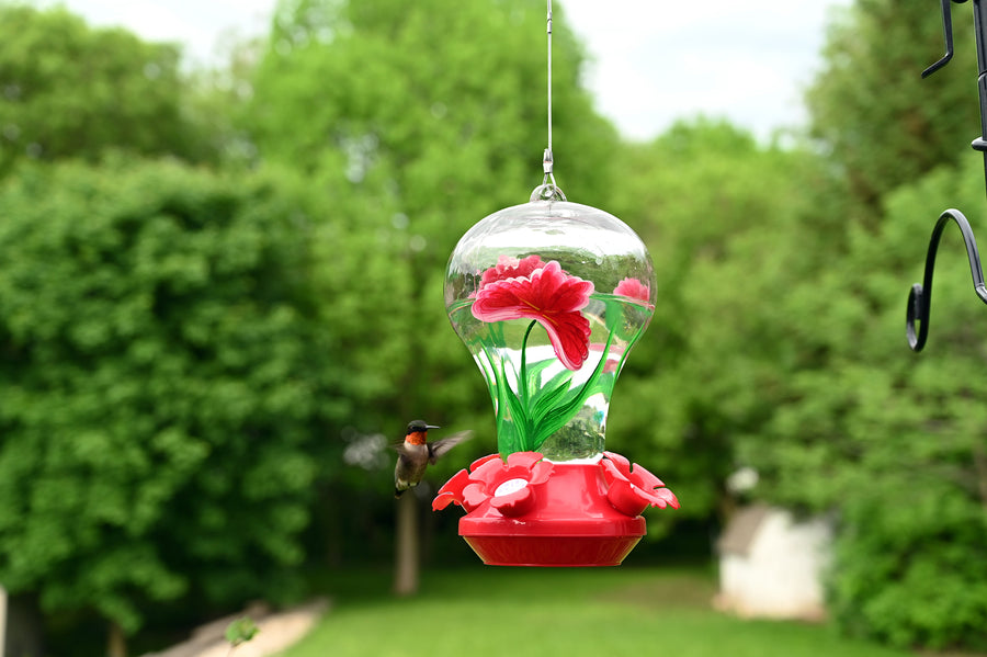 Feeder is hanging outdoors while a hummingbird is flying towards the nectar.