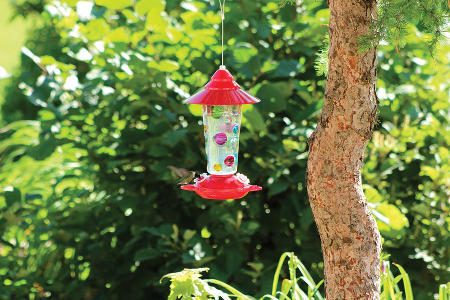 Feeder is hanging on a tree outdoors filled with nectar as a hummingbird enjoys the nectar.