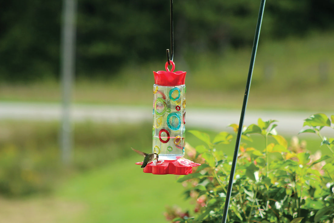 Outdoors hanging while a hummingbird is enjoying nectar from the feeder.
