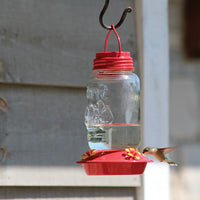 Feeder is hanging on a pole system outdoors, a hummingbird is drinking the nectar.