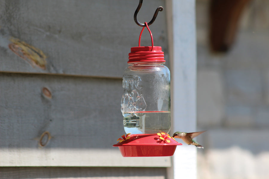 Feeder is hanging on a pole system outdoors, a hummingbird is drinking the nectar.