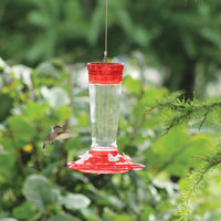10 oz Glass Hummingbird Feeder (88163)