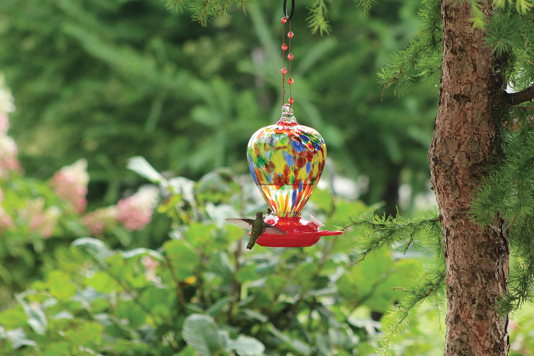 The feeder is hanging from a tree outdoors while a hummingbird is feeding.
